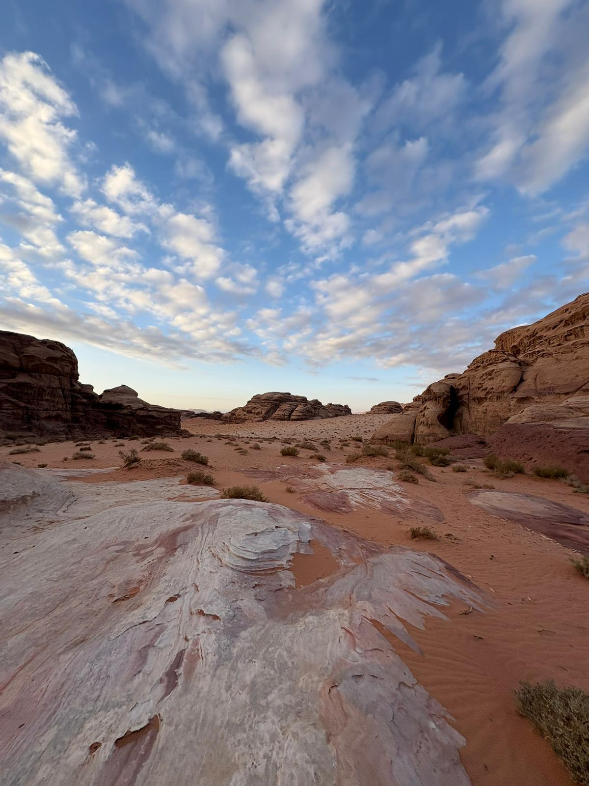 WhatsApp Image 2025-12-13 at 9.50.24 PM